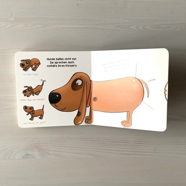 Der Hund – interaktives Pappenbuch – ab 2 Jahre