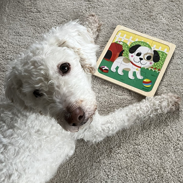 Holzpuzzle – kleiner Hund, quadratisch